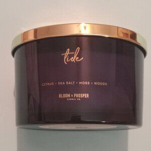 🌊 TIDE 🌊 Bloom & Prosper Candle citrus sea salt woods